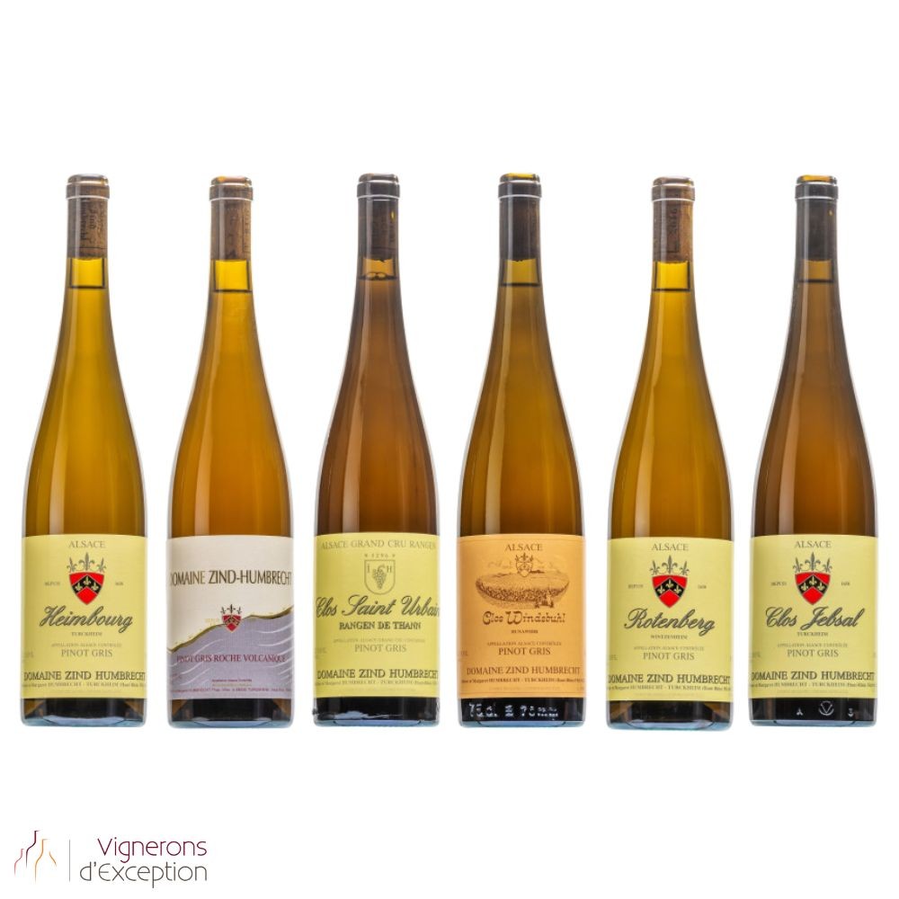 Domaine Zind-Humbrecht découverte de 6 grands Pinot Gris 2022 bouteilles Domaine Zind-Humbrecht découverte de 6 grands Pinot Gris 2022 bouteilles