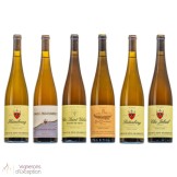 Domaine Zind-Humbrecht découverte de 6 grands Pinot Gris 2022 bouteilles