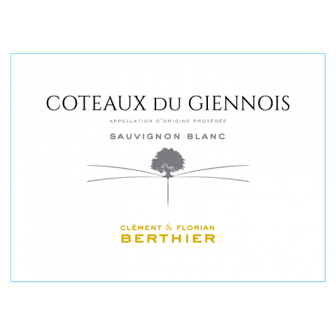 Domaine Berthier Coteaux du Giennois blanc sec 2023 bouteille 2