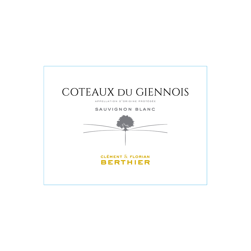 Domaine Berthier Coteaux du Giennois blanc sec 2023 etiquette