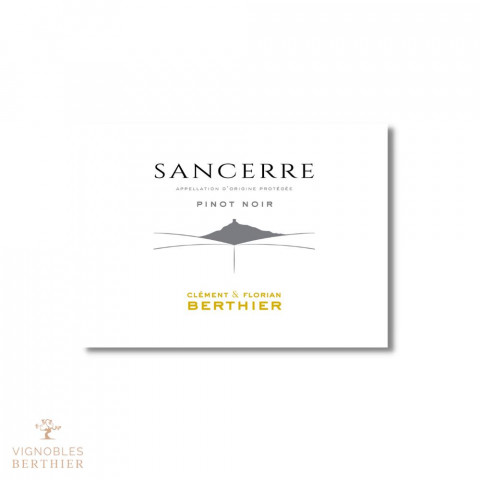 Domaine Berthier Sancerre rouge 2021 bouteille 2