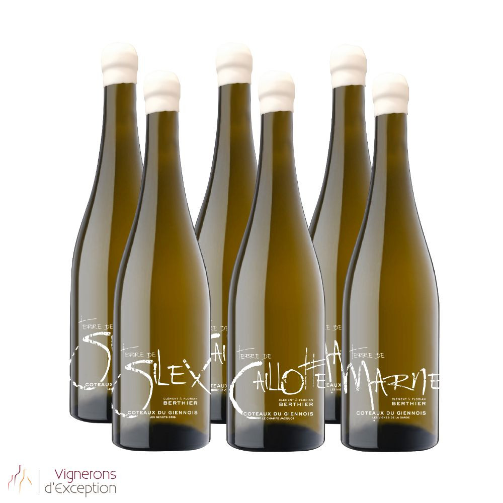 Domaine Berthier panaché Coteaux du Giennois "3 terroirs" blanc sec 2022 Domaine Berthier panaché Coteaux du Giennois "3 terroirs" blanc sec 2022