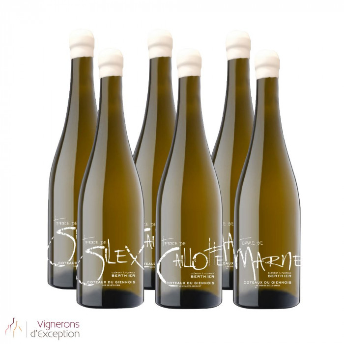 Domaine Berthier panaché Coteaux du Giennois "3 terroirs" blanc sec 2022 Domaine Berthier panaché Coteaux du Giennois "3 terroirs" blanc sec 2022