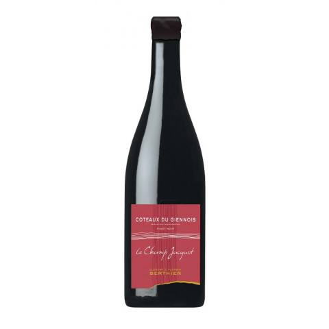 Domaine Berthier Coteaux du Giennois "Le Champs Jacquot" rouge 2020 bouteille