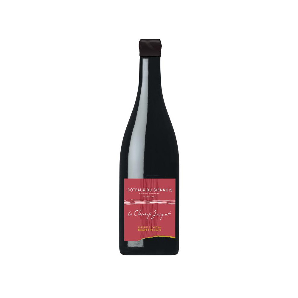 Domaine Berthier Coteaux du Giennois "Le Champs Jacquot" rouge 2020 bouteille Domaine Berthier Coteaux du Giennois "Le Champs Jacquot" rouge 2020 bouteille