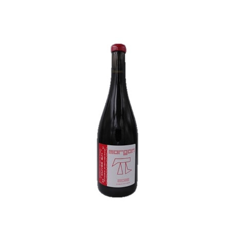 Domaine Jean Foillard Morgon 3,14 rouge 2017 bouteille