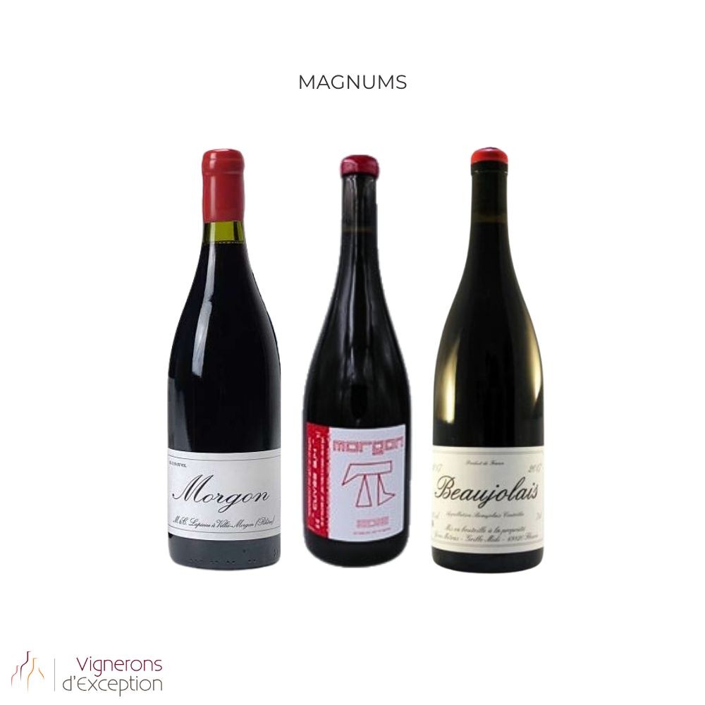 Grands gamays MAGNUM Grands gamays MAGNUM