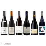 Pinot noir discovery