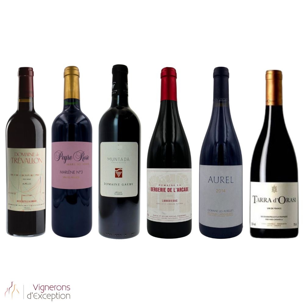 Great Sud Red 10 Great Sud Red 10
