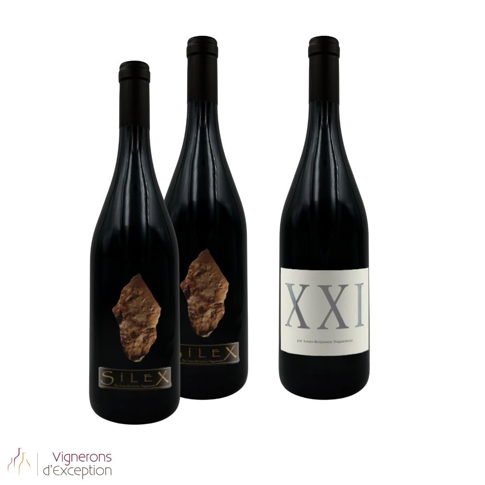 Dagueneau Verticale (3 bouteilles) Dagueneau Verticale (3 bouteilles)
