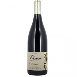 Domaine Yvon Métras Fleurie "Printemps" rouge 2022 bouteille