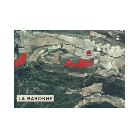 Château La Baronne "Alaric" 2019 parcelle
