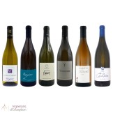 Viognier discovery