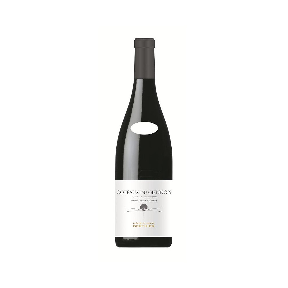 Domaine Berthier Coteaux du Giennois red 2022 Domaine Berthier Coteaux du Giennois red 2022