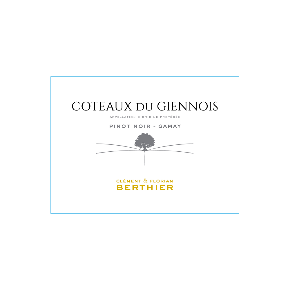 Domaine Berthier Coteaux du Giennois red 2022