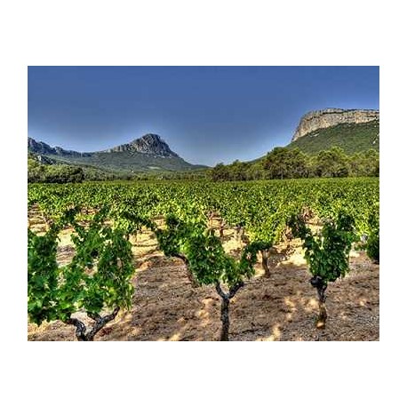 Carton panaché Pic saint Loup Carton panaché Pic saint Loup