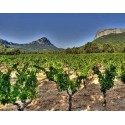 Carton panaché Pic saint Loup Carton panaché Pic saint Loup