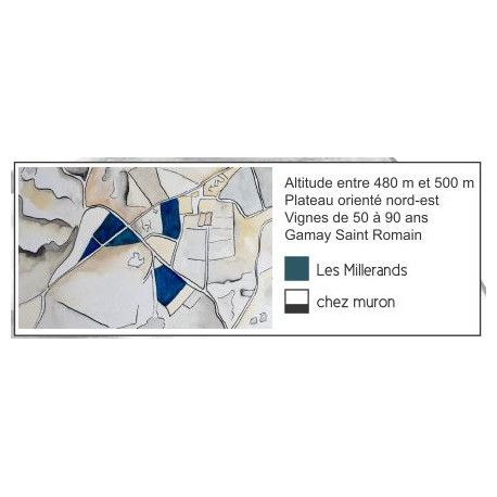 Domaine Serol Cote Roannaise "Millerands" rouge 2017 parcelle