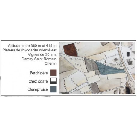 Domaine Sérol Côte Roannaise "Perdrizière" rouge 2017 parcelle