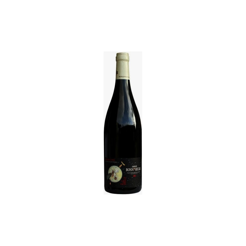 Domaine de La Chevalerie Bourgueil Bonn'heure rouge 2011 (75 cl)