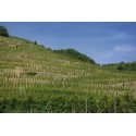Domaine Georges Vernay Cote-Rotie "Maison red" red 2017