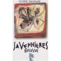 Domaine Patrick Baudouin Savennières "Bellevue" dry white 2018 Domaine Patrick Baudouin Savennières "Bellevue" dry white 2018