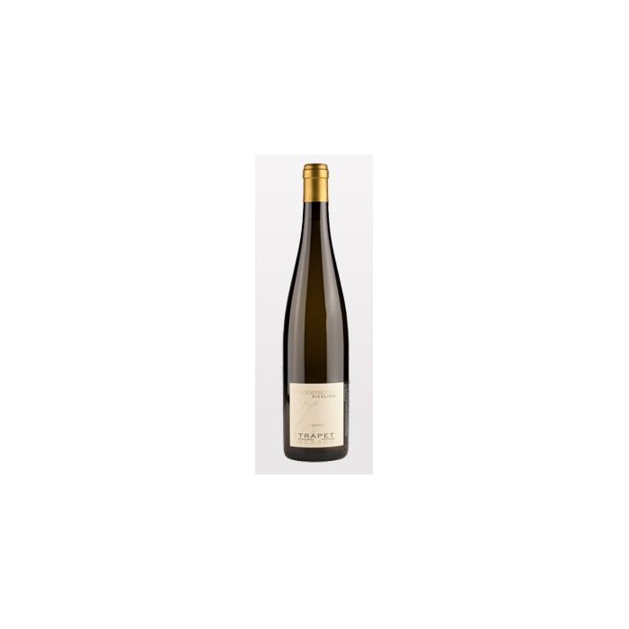 Domaine Trapet Riesling Grand Cru "Schoenenbourg" blanc sec 2012 bouteille Domaine Trapet Riesling Grand Cru "Schoenenbourg" blanc sec 2012 bouteille